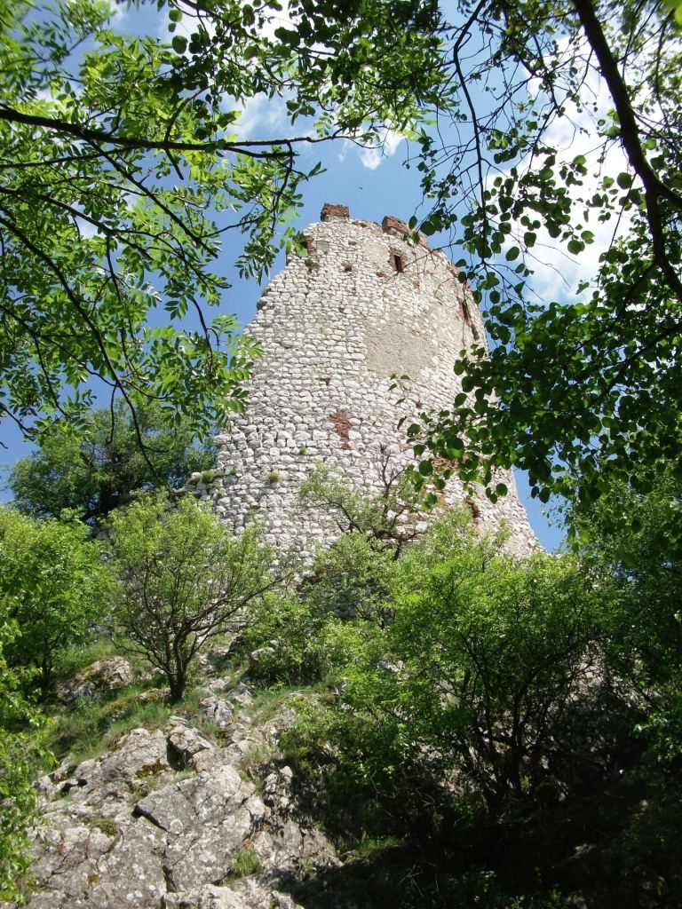 DSCF2198