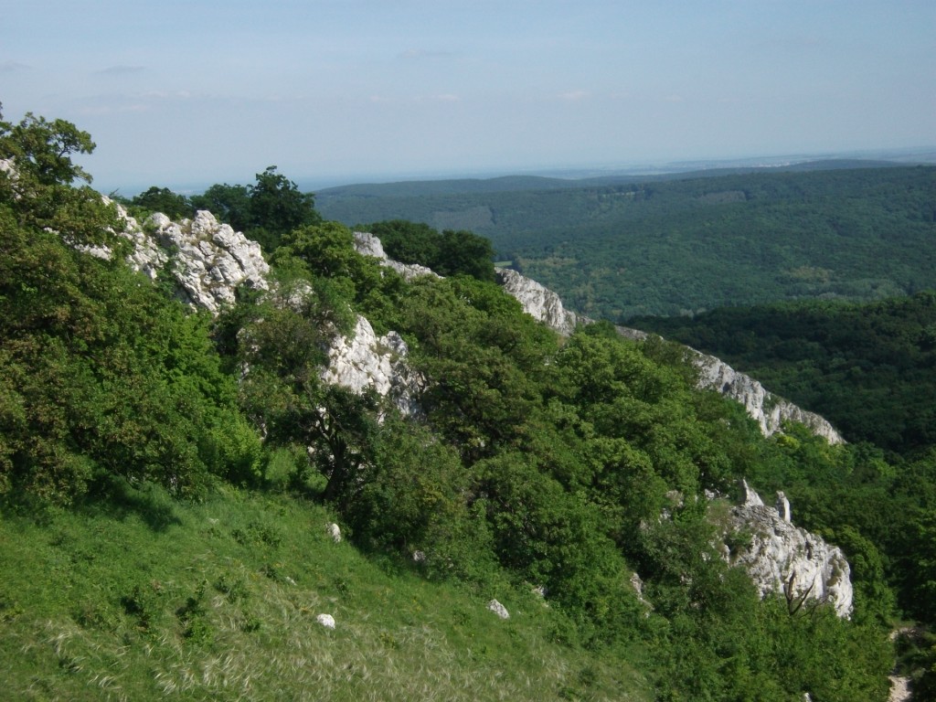 DSCF2264