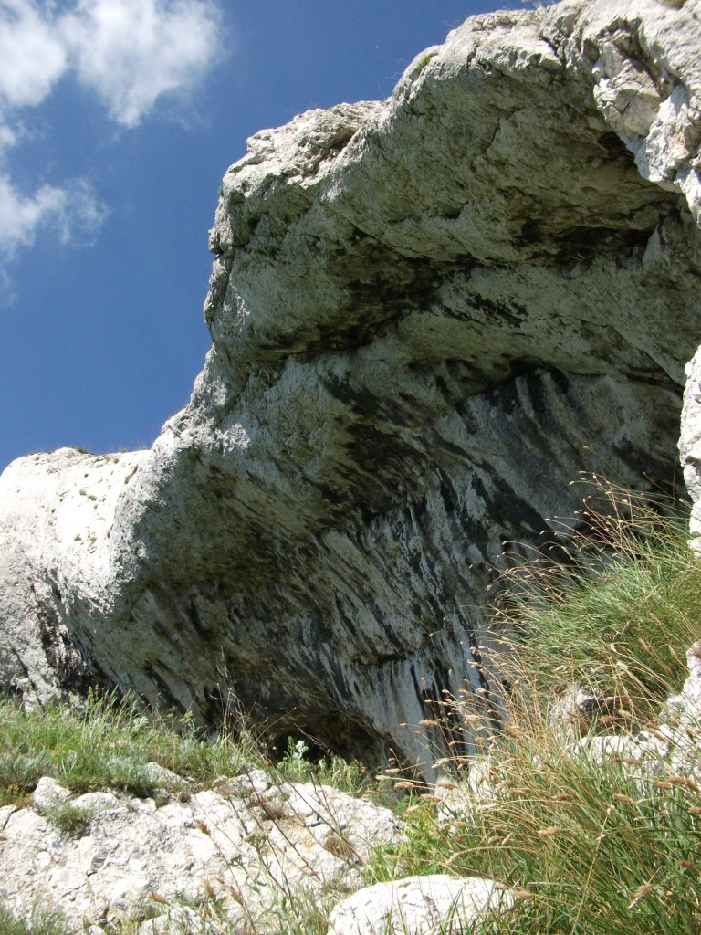 DSCF2269