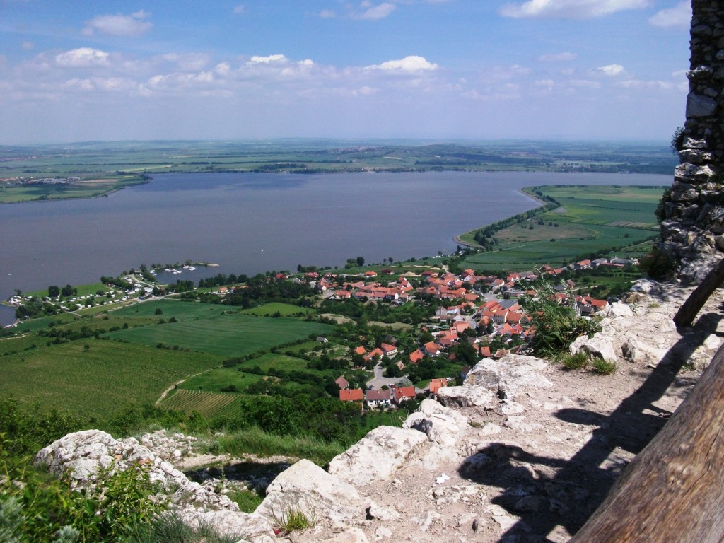 DSCF2202